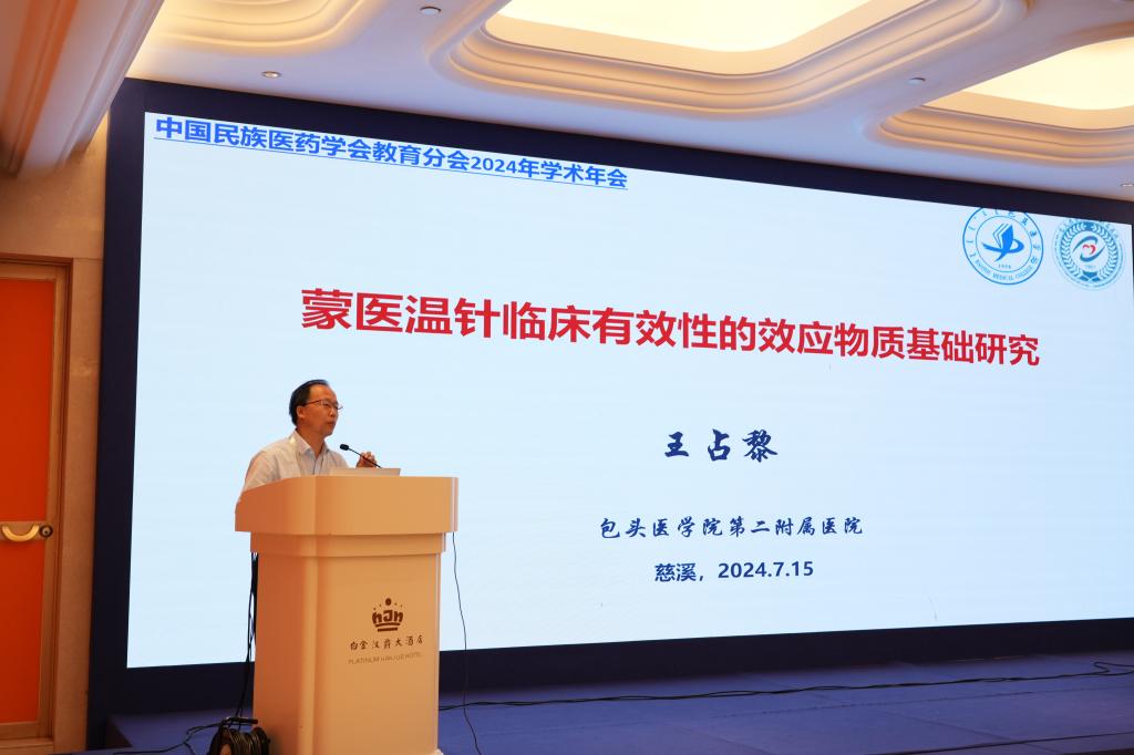 传承创新相辅两翼 民族医药非遗学术会议探索现代发展新路