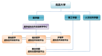 南昌大学江西发展研究院 以医学创新驱动实验研发与区域健康未来